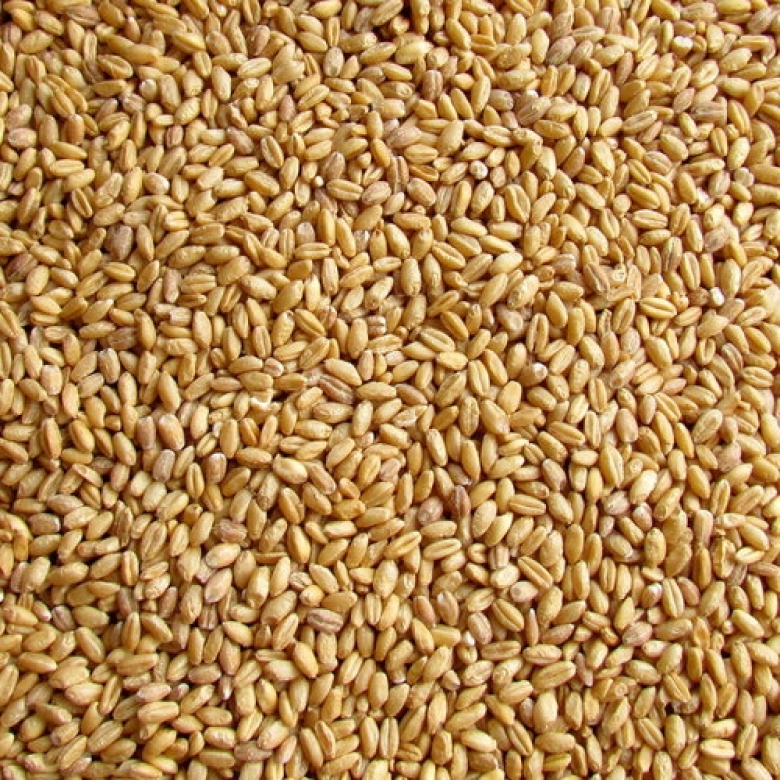 Agribulk